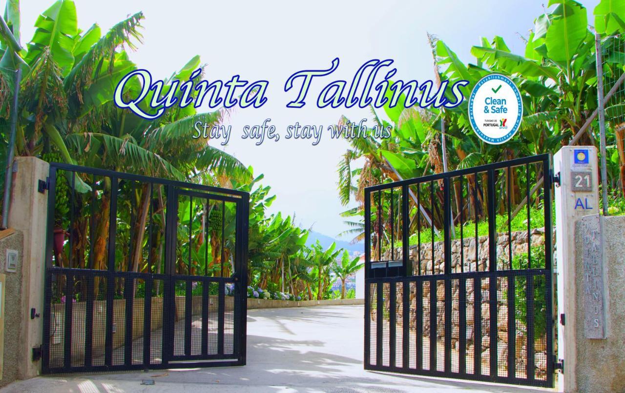 Quinta Tallinus Фуншал Экстерьер фото
